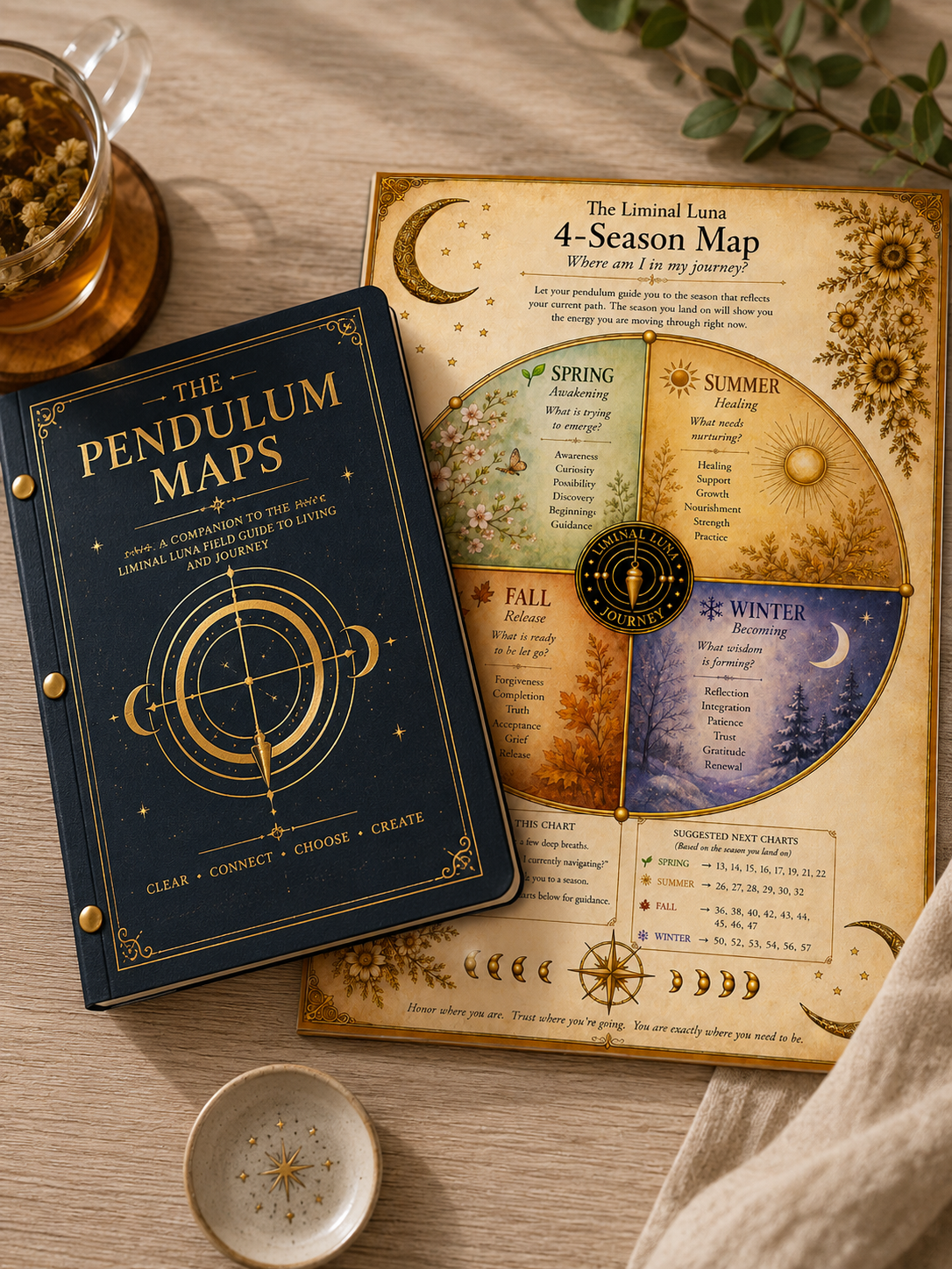 Pendulum Maps